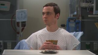 HuSHeldon