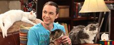 Sheldon and Zazzles.