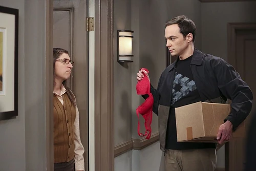 Sheldon is returning things to Amy.