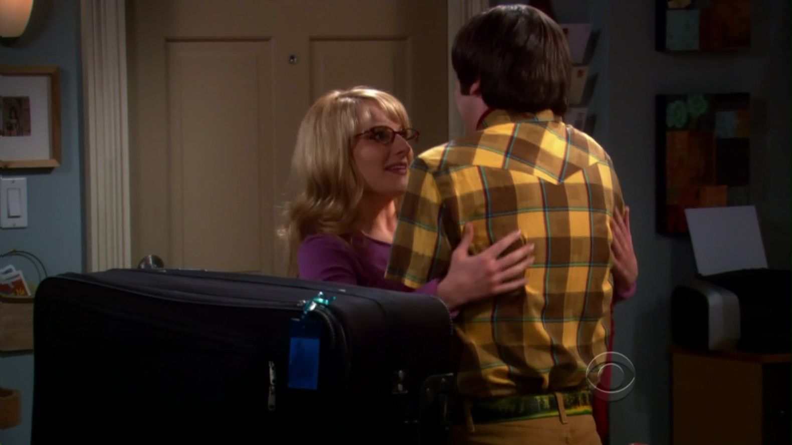 The Cohabitation Formulation | The Big Bang Theory Wiki | Fandom