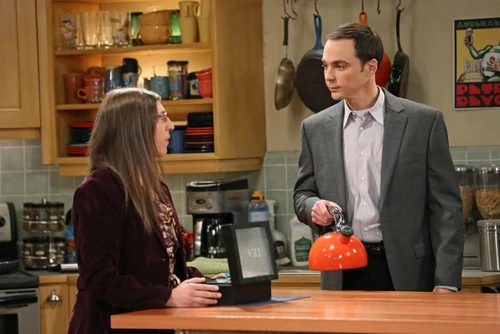 Amy and Sheldon.