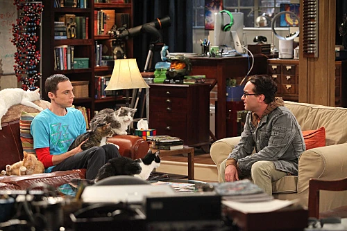 Leonard talks to Sheldon about his cat and the loss of Amy.
