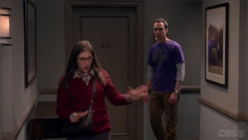 Amy: "We are not back together, Sheldon".