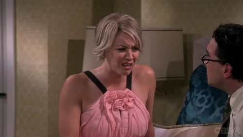 Leonard just suggested they get naked and make a baby.