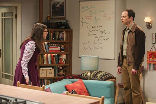 Sheldon and Amy's first living-together fight.