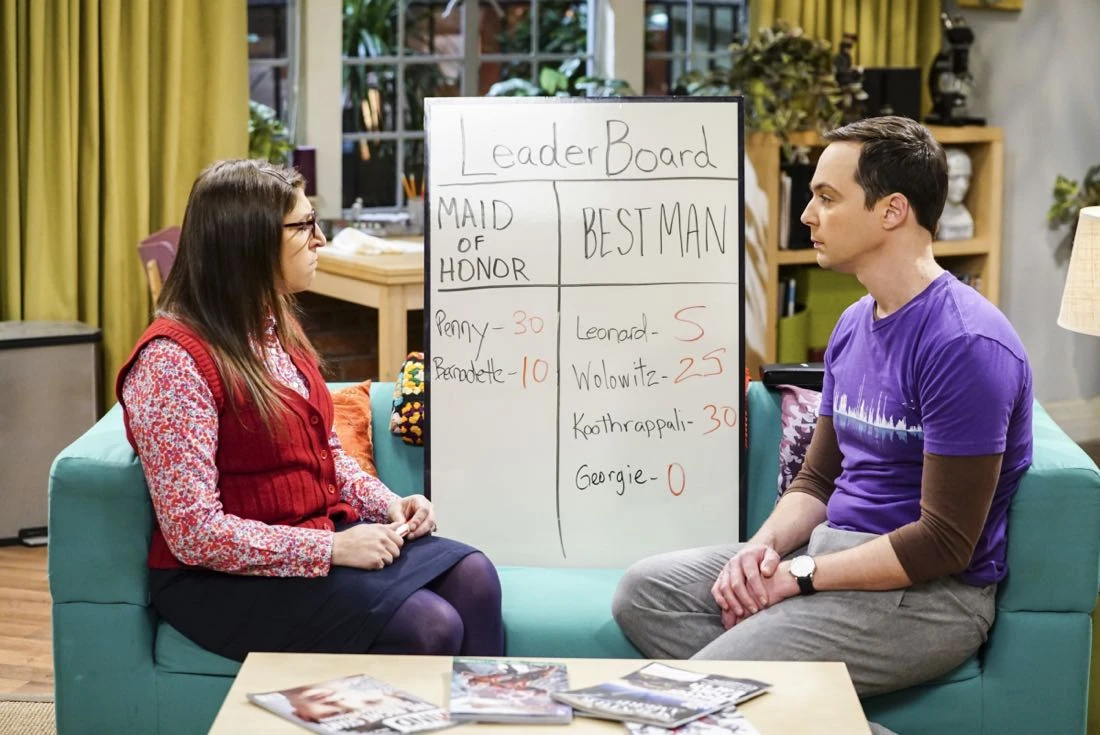 The Matrimonial Metric | The Big Bang Theory Wiki | Fandom