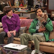Howard finds Raj's treatment of his dog freaky.