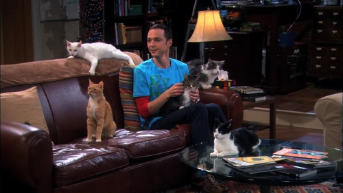 Sheldon and his clowder of cats.