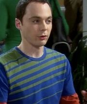 The Friendship Algorithm | The Big Bang Theory Wiki | Fandom