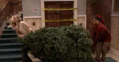 Carrying the tree upstairs.