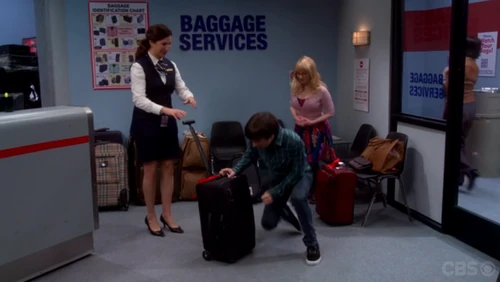The airline found their luggage and Mrs. Wolowitz.