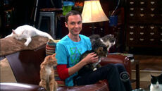 Sheldon and his cats.