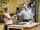 10.01 tbbt-tcc-10.jpg
