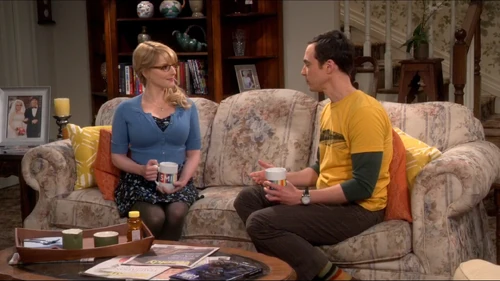 Sheldon seeks advice from Bernadette, his seventh choice.