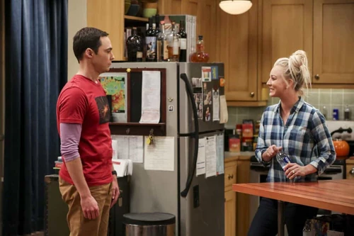 Sheldon talks to Penny about Bert's work.