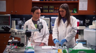 Sheldon and Amy move on to other work