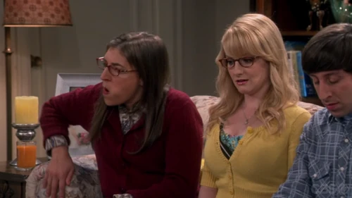 Sheldon just insulted Amy.