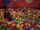 19Bazinga in the ball pit.jpg