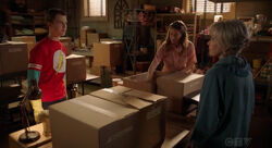 Sheldon and Mary organize