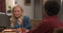 The Separation Triangulation | The Big Bang Theory Wiki | Fandom