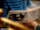2-Year-Old Sheldon and Missy on Books.gif