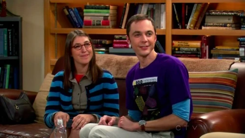 Amy and Sheldon playing "Counterfactuals".