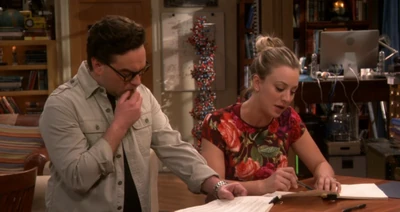 Article 8, subsection: Leonard will restrict video-gaming in underpants to hours Penny is not home.