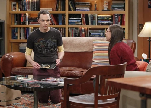 Amy discussing moving in with Sheldon.