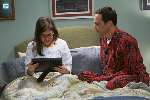 picture of Sheldon's brain.