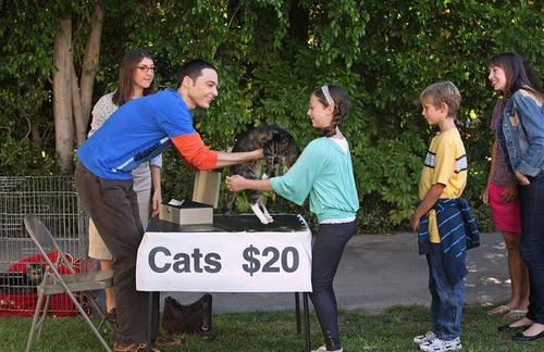 Sheldon gives away his cats with the help of Amy after the two reconciled with the help from Sheldon's mother.