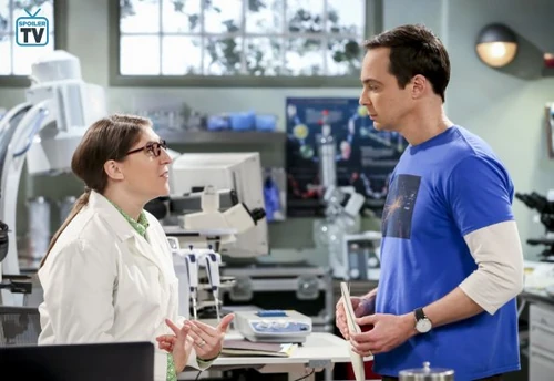 Sheldon wants to discuss their super-asymmetry project.
