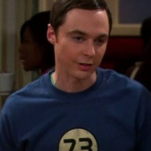 73 | The Big Bang Theory Wiki | Fandom