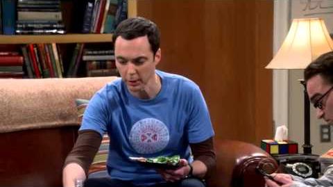 The Big Bang Theory - The Perspiration Implementation
