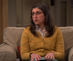 The Viewing Party Combustion The Big Bang Theory Wiki Fandom
