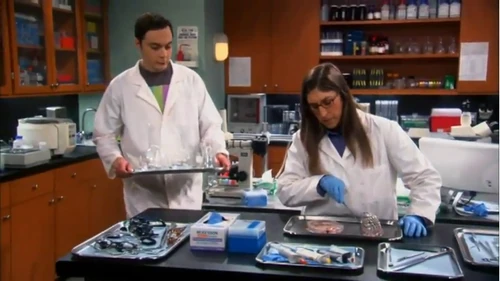 Amy continues her work as Sheldon had to wash the beakers.