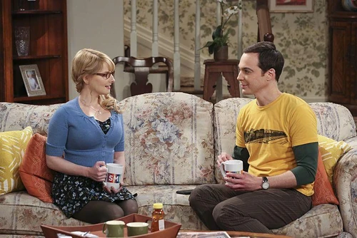 Sheldon talking over his roommate problems with Bernie.