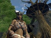 Aoc