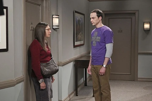 Sheldon confronting Amy.