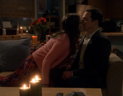 Amy response to Sheldon's sex question.