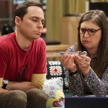 Big Bang Theory Wedding Gift From Leonard And Penny