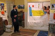 Sheldon finds Leonard and Priya in the shower.