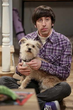 Howard found a dog.