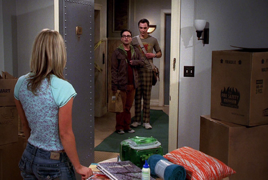 Season 1 The Big Bang Theory Wiki Fandom