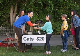 Sheldon and Amy are giving away cats and $20 to anyone who will take them.