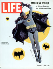 Batman Life magazine