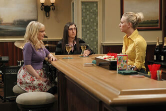 TBBT 6x5 The Holographic Excitation Penny Amy and Bernadette