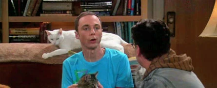 Sheldon and his cats.