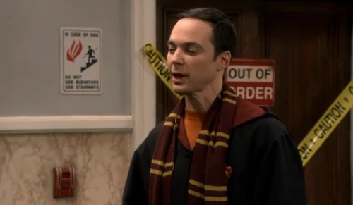 Coming back from Wizarding World.