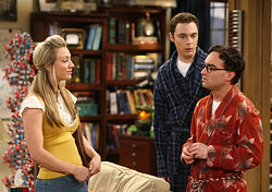 The Plimpton Stimulation, The Big Bang Theory Wiki