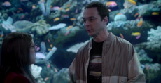 Sheldon and Amy at the aquarium as friends.